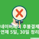 네이버페이 후불결제 연체 시 어떻게 될까? 5일, 한달 기준 총정리