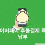 네이버페이 후불결제 즉시 납부 방법, 미리 선결제하기