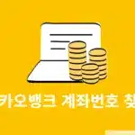 카카오뱅크 계좌번호 찾는법, 앱 없이 확인하는 다른 방법 정리