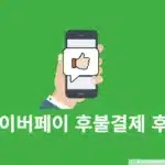 네이버페이 후불결제 후기, 실제 써보니 장단점은 이렇습니다