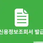 신용정보조회서 발급 방법, 인터넷으로 발급받아 모바일에서 확인하기