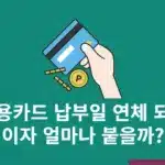 신용카드 납부일 연체 되면 이자 얼마나 붙을까? 불이익 정리
