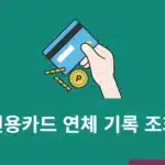 신용카드 연체 기록 조회 방법, 어디서 확인할까