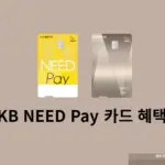 KB NEED Pay 카드 혜택 정리, 간편결제 연 최대 36만원 할인받기