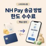 NH Pay 송금 방법, 한도와 수수료까지 정리