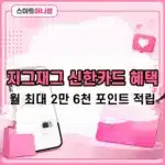 지그재그 신한카드 혜택, 월 최대 2만 6천 포인트 적립 조건 정리